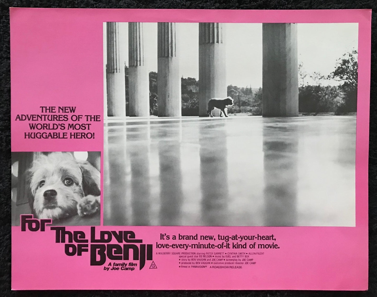 ORIGINAL LOBBY CARDS - FOR THE LOVE OF BENJI - 1977 - group of 5 cards - Benjean, Patsy Garrett, Cynthia Smith, Allen Fiuzat, Ed Nelson