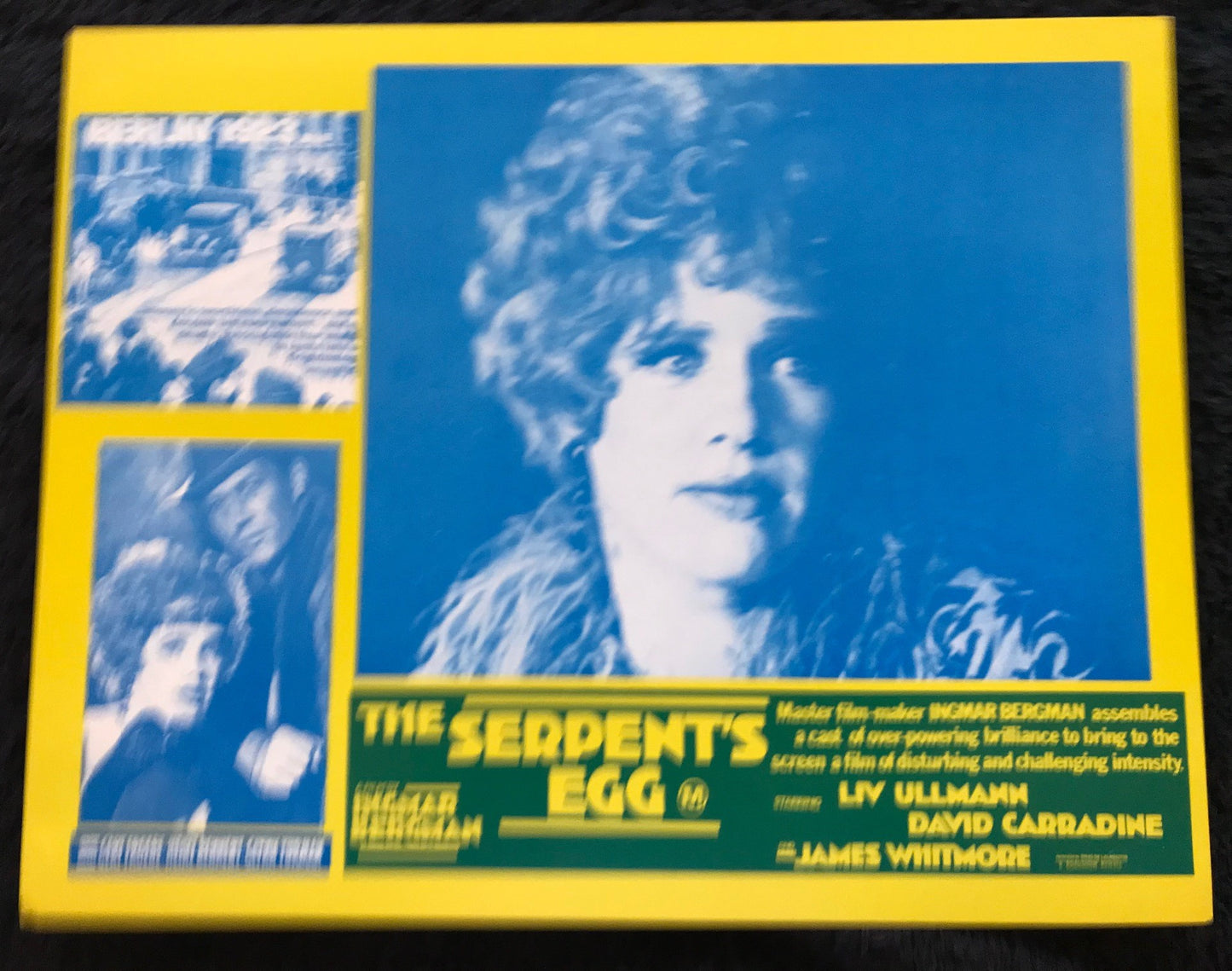 ORIGINAL LOBBY CARDS - THE SERPENT'S EGG - 1977 - set of 8 cards - David Carradine, Liv Ullmann, Gert Fröbe, Heinz Bennent