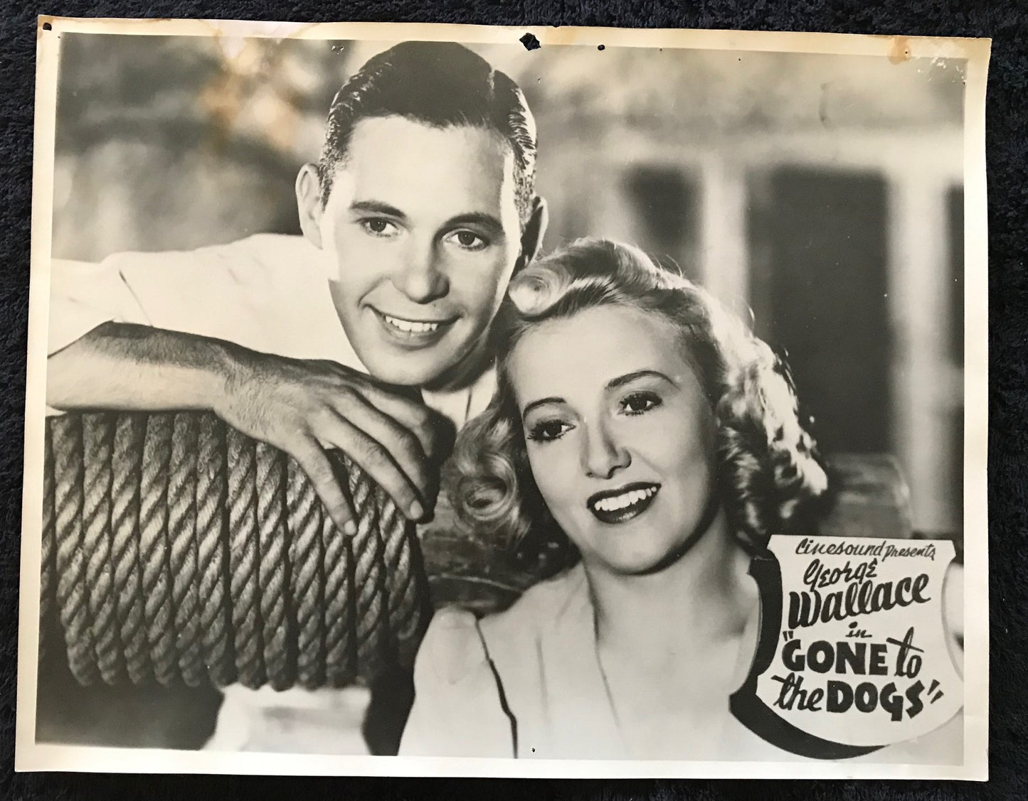ORIGINAL LOBBY CARDS - GONE TO THE DOGS - 1939 -Australian - set of 8 - George Wallace, Lois Green, Alec Kellaway