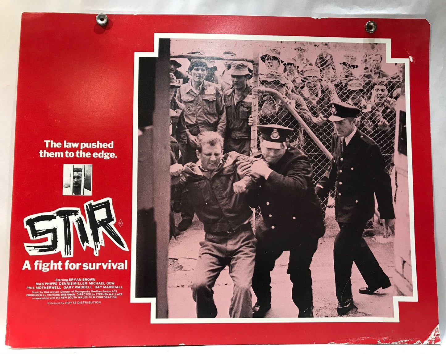 ORIGINAL LOBBY CARD - STIR (h) - 1980 - original Lobby Card - Australian