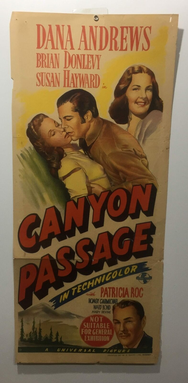 ORIGINAL DAYBILL MOVIE POSTER - CANYON PASSAGE