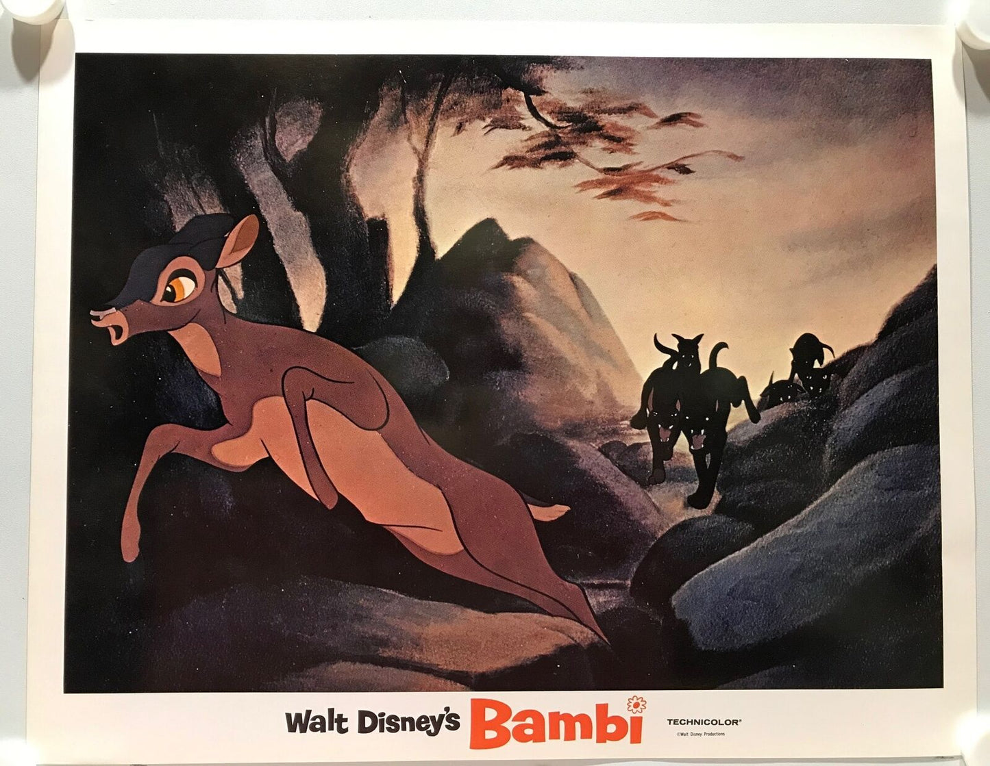 ORIGINAL LOBBY CARDS - BAMBI - Walt Disney's - 1975 - set of 8 plus title card