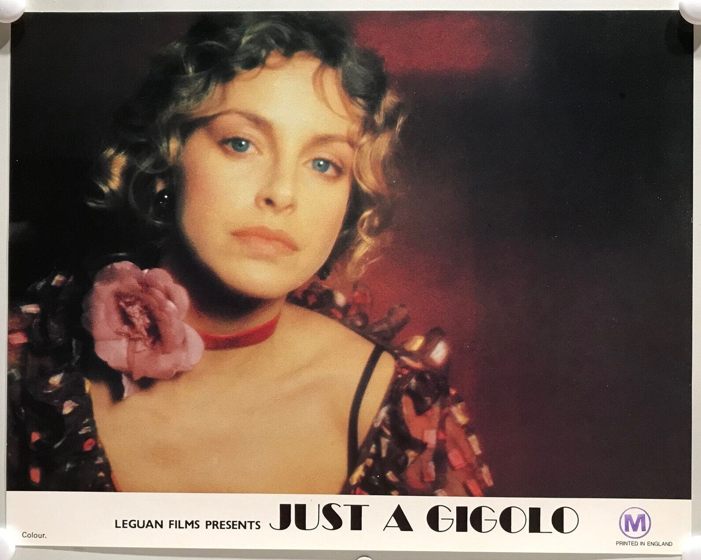 ORIGINAL LOBBY CARDS - JUST A GIGOLO - 1979 - set of 12
