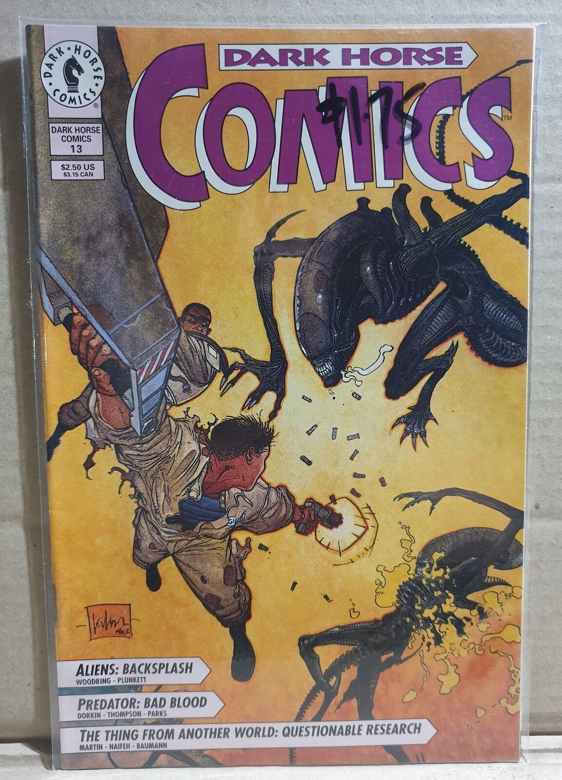 COMIC BOOK ~ DARK HORSE COMICS #13