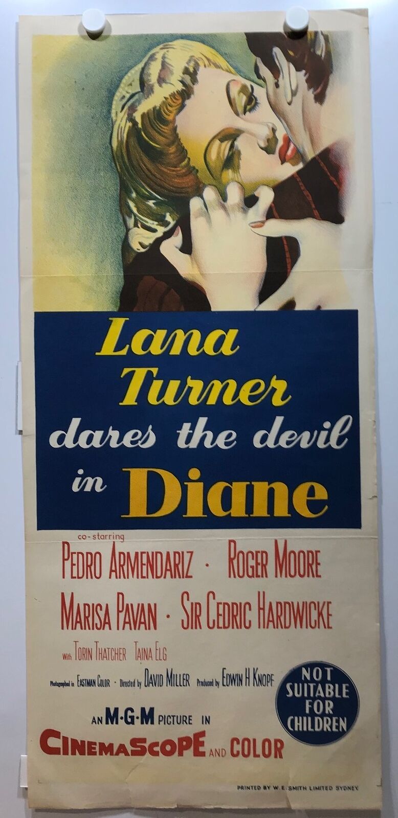 ORIGINAL DAYBILL MOVIE POSTER - DIANNE