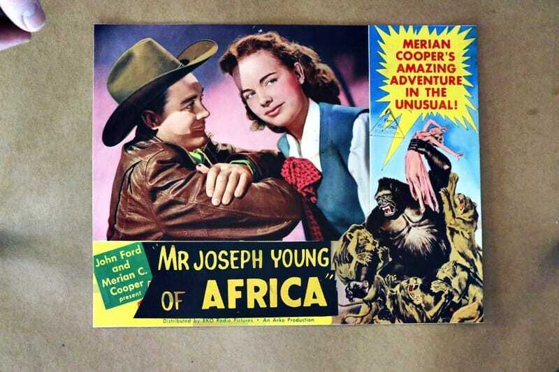 ORIGINAL LOBBY CARD - MR JOSEPH YOUNG OF AFRICA - (Mighty Joe Young) - 1949
