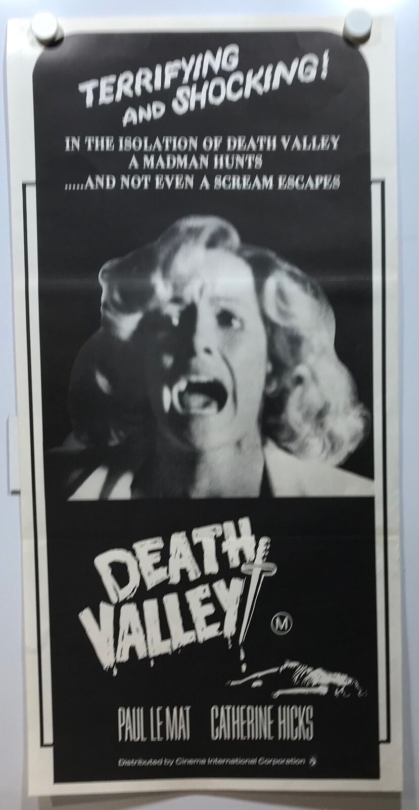ORIGINAL DAYBILL MOVIE POSTER - DEATH VALLEY - HORROR