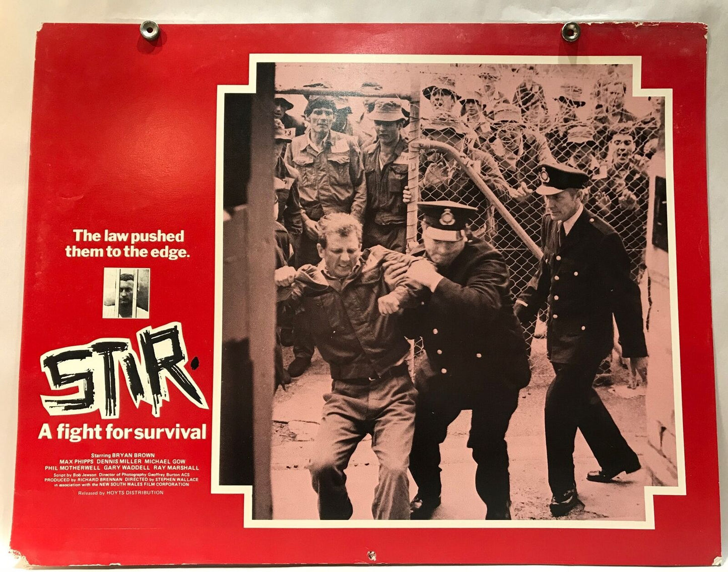 ORIGINAL LOBBY CARD - STIR (g) - 1980 - original Lobby Card - Australian