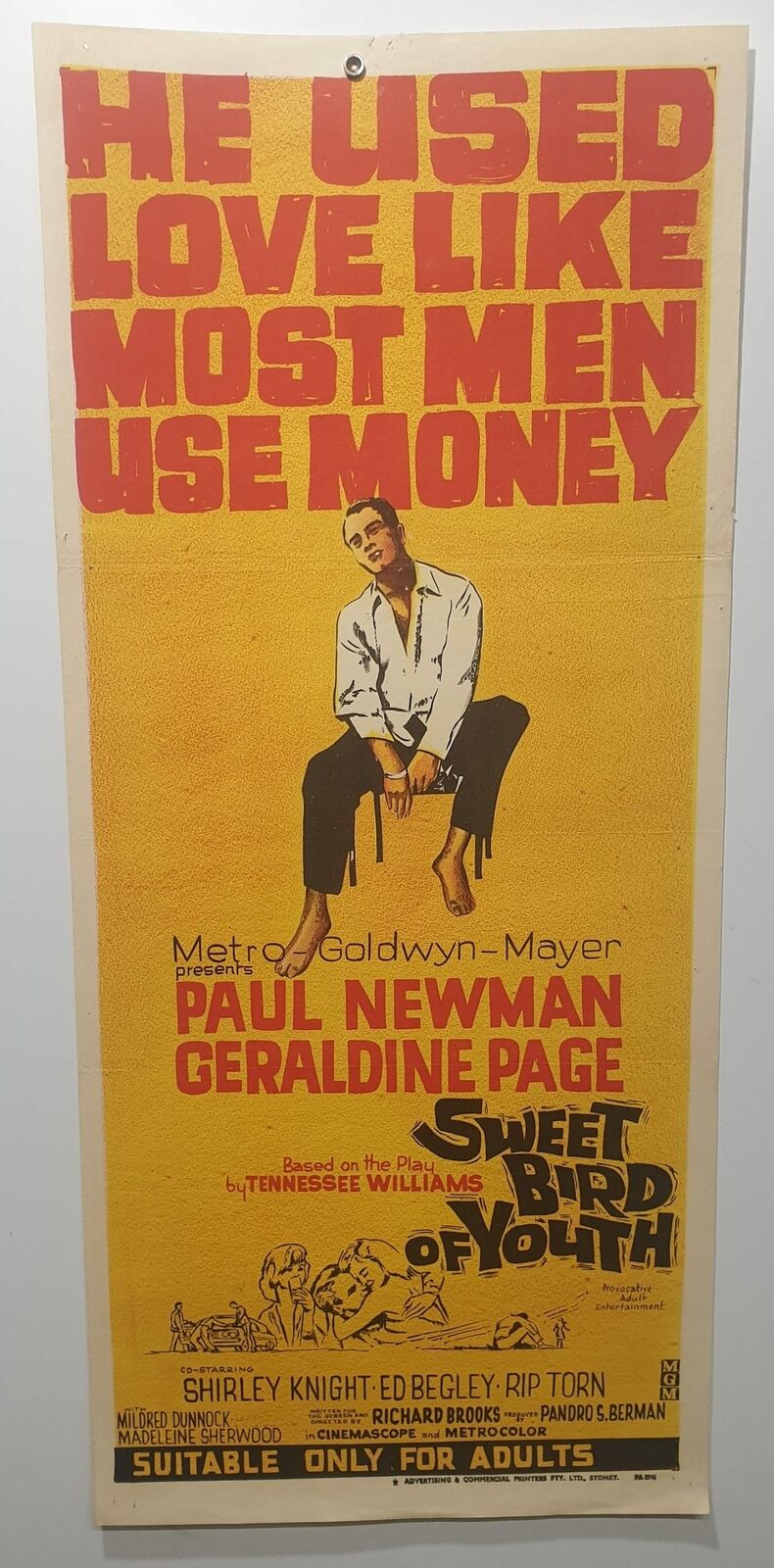 ORIGINAL DAYBILL MOVIE POSTER – SWEET BIRD OF YOUTH