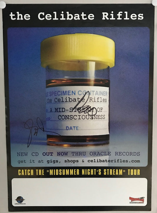 MUSIC PROMO POSTER - SIGNED - THE CELIBRATE RIFLES(a) - A MILD-STREAM OF CONSCIOUSNESS