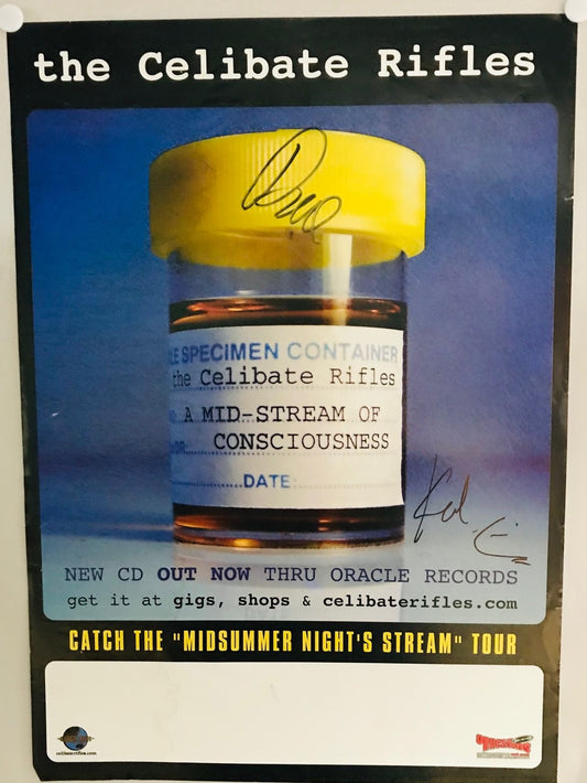 MUSIC PROMO POSTER - SIGNED - THE CELIBRATE RIFLES(b) - A MILD-STREAM OF CONSCIOUSNESS