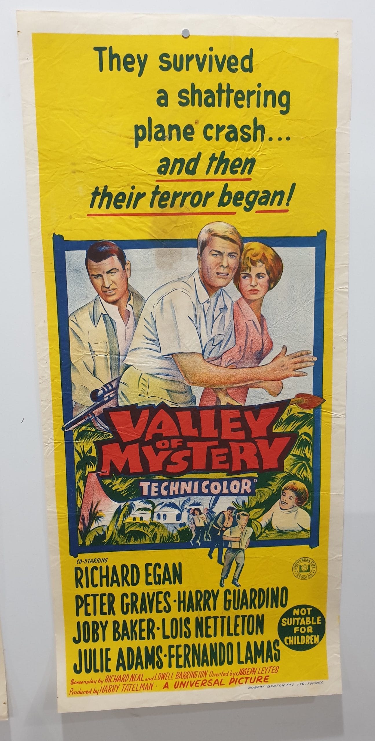 ORIGINAL DAY BILL MOVIE POSTER - VALLEY OF MYSTERY - 1967 - TV MOVIE