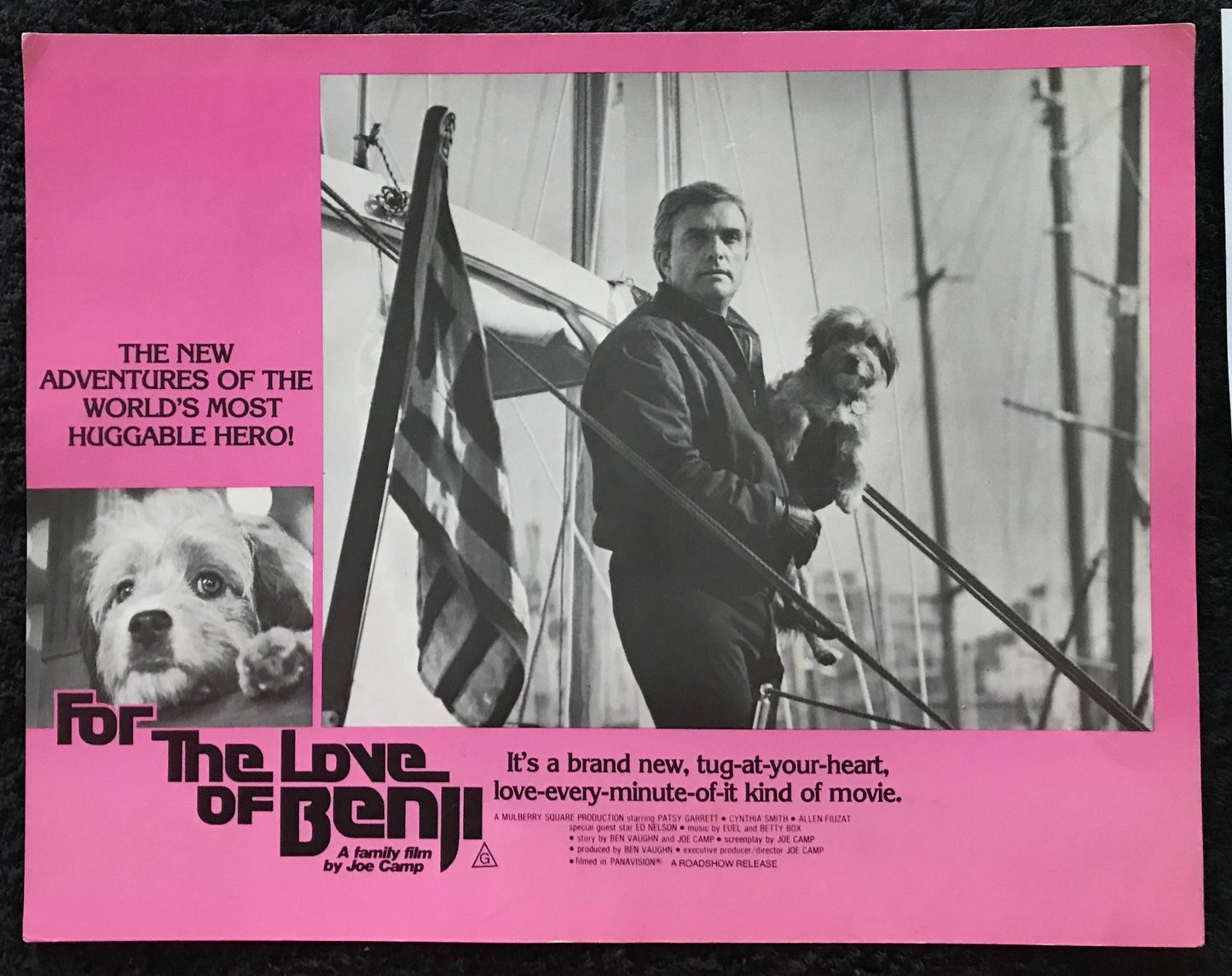 ORIGINAL LOBBY CARDS - FOR THE LOVE OF BENJI - 1977 - group of 5 cards -  Benjean, Patsy Garrett, Cynthia Smith, Allen Fiuzat, Ed Nelson