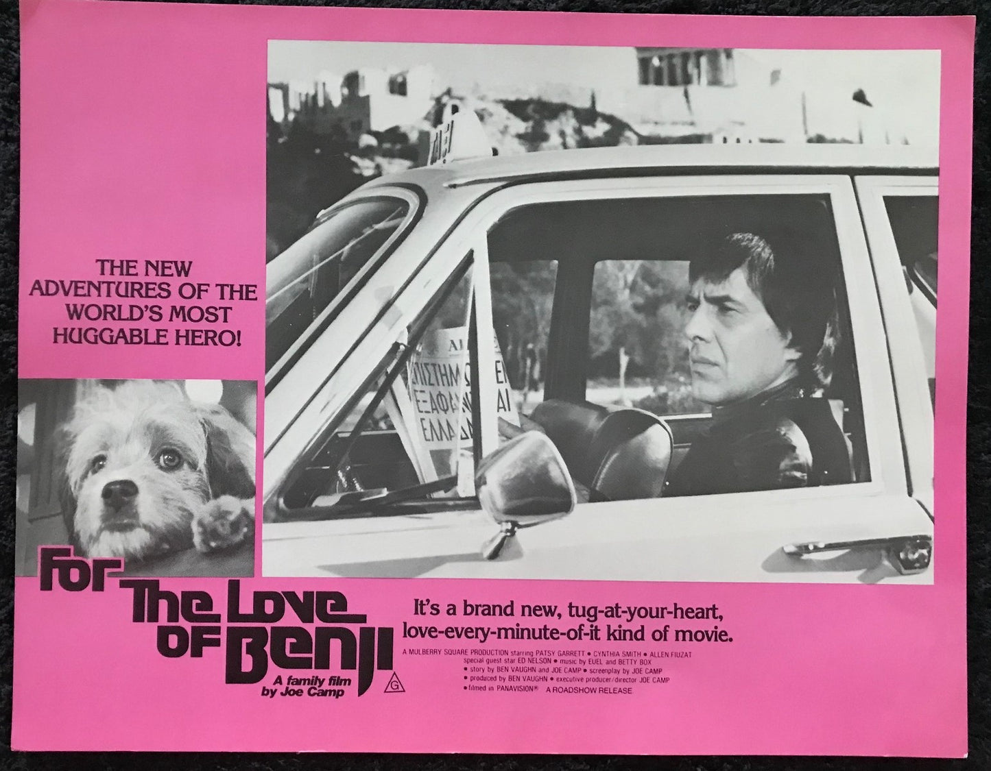 ORIGINAL LOBBY CARDS - FOR THE LOVE OF BENJI - 1977 - group of 5 cards -  Benjean, Patsy Garrett, Cynthia Smith, Allen Fiuzat, Ed Nelson