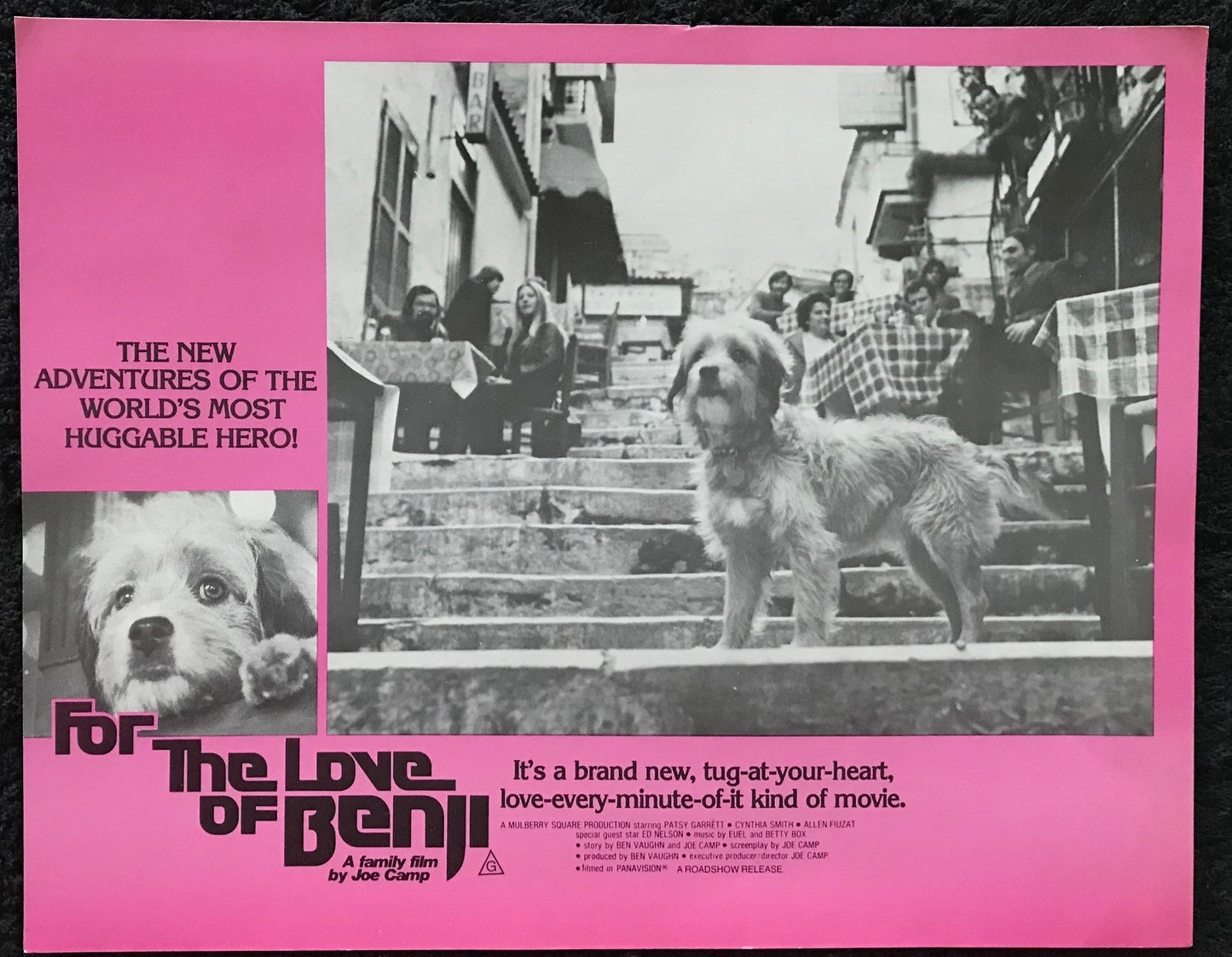 ORIGINAL LOBBY CARDS - FOR THE LOVE OF BENJI - 1977 - group of 5 cards -  Benjean, Patsy Garrett, Cynthia Smith, Allen Fiuzat, Ed Nelson
