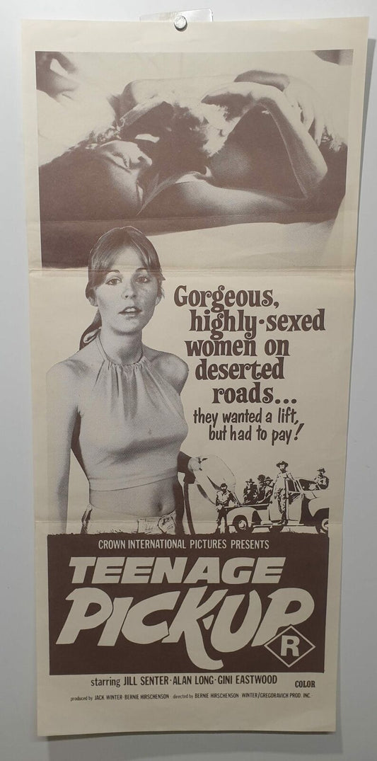 ORIGINAL DAYBILL MOVIE POSTER - TEENAGE PICK-UP - R-RATED