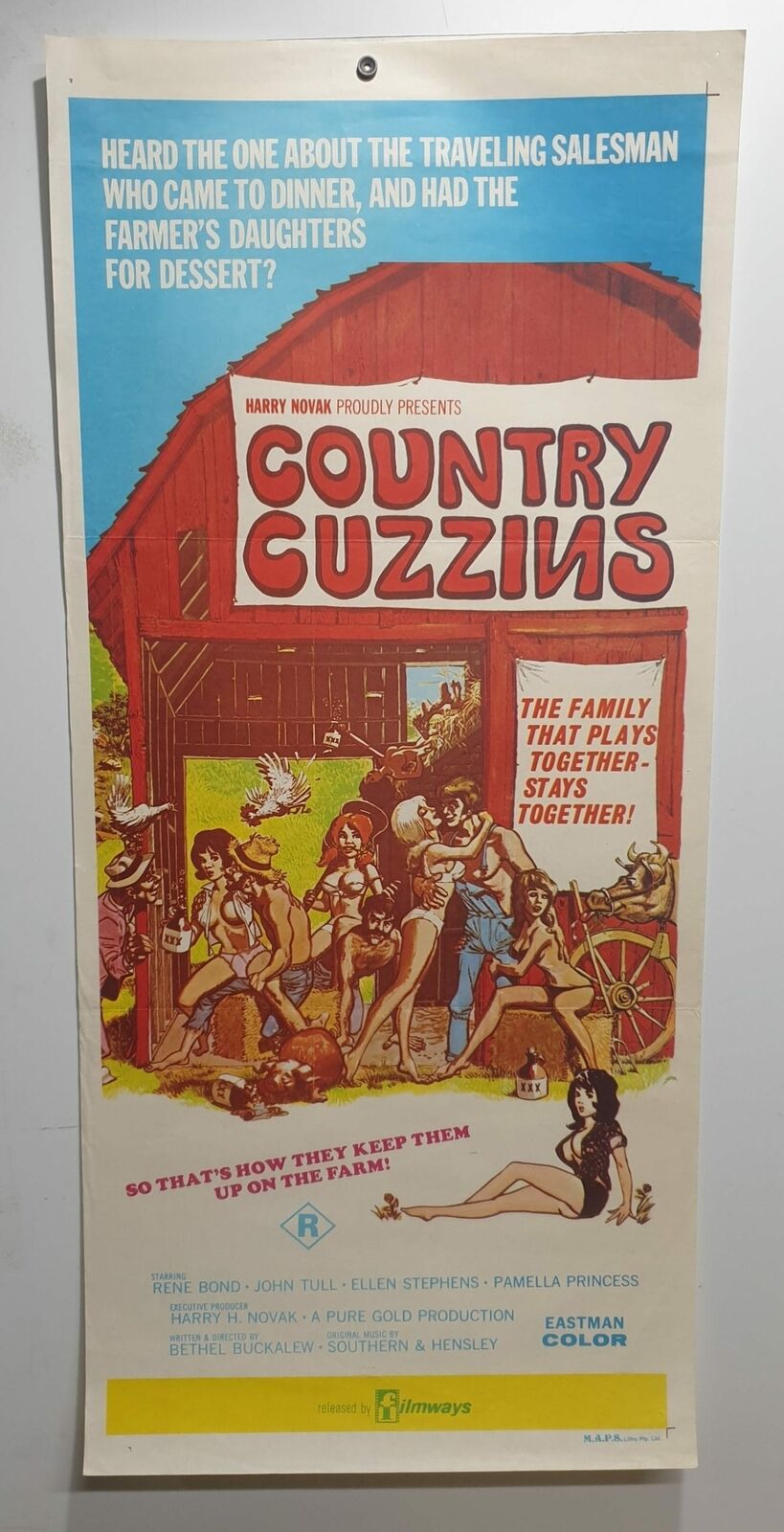 ORIGINAL DAYBILL MOVIE POSTER - COUNTRY CUZZINS - ADULT