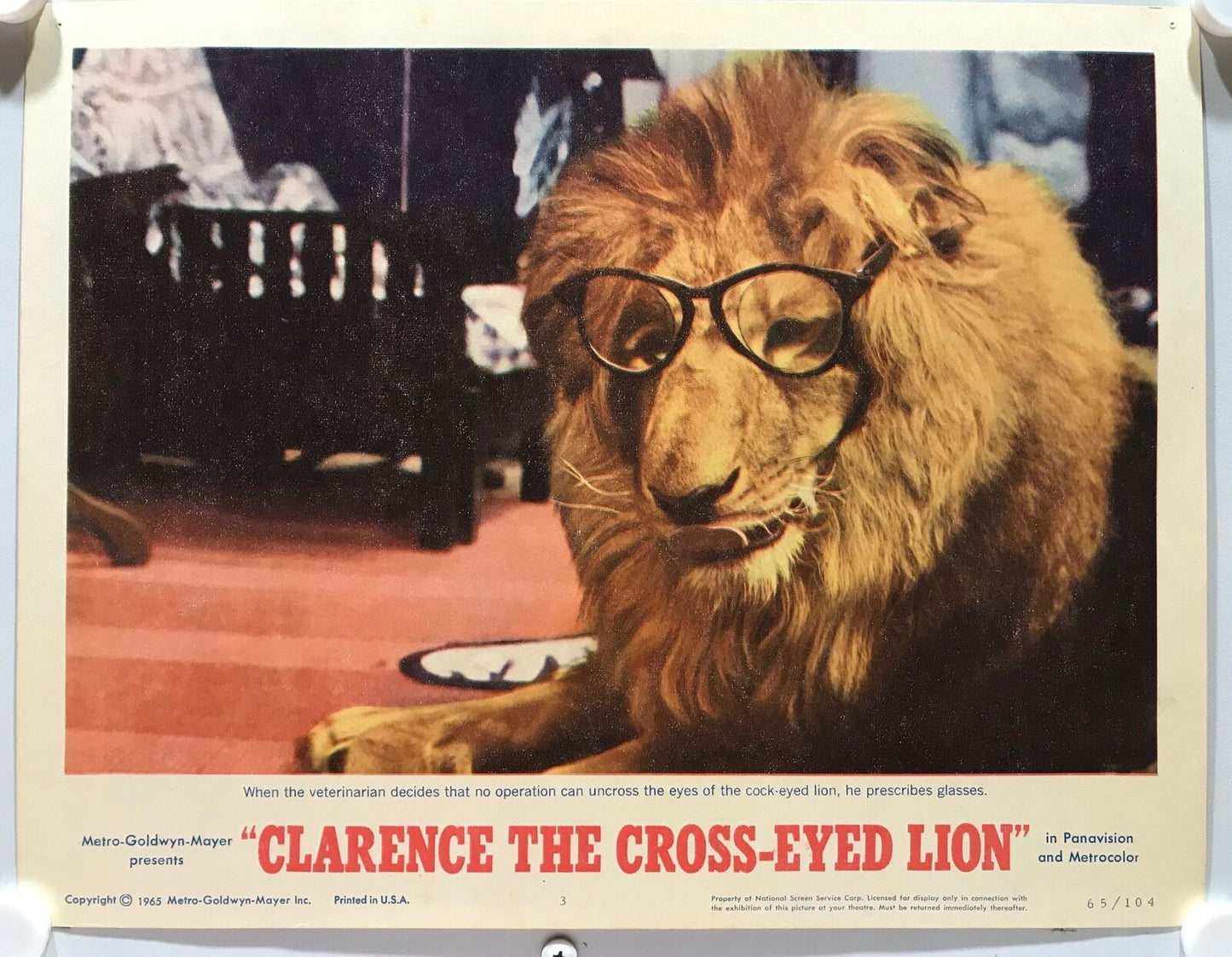 ORIGINAL LOBBY CARDS - CLARENCE THE CROSS-EYED LION - 1965 - set of 8