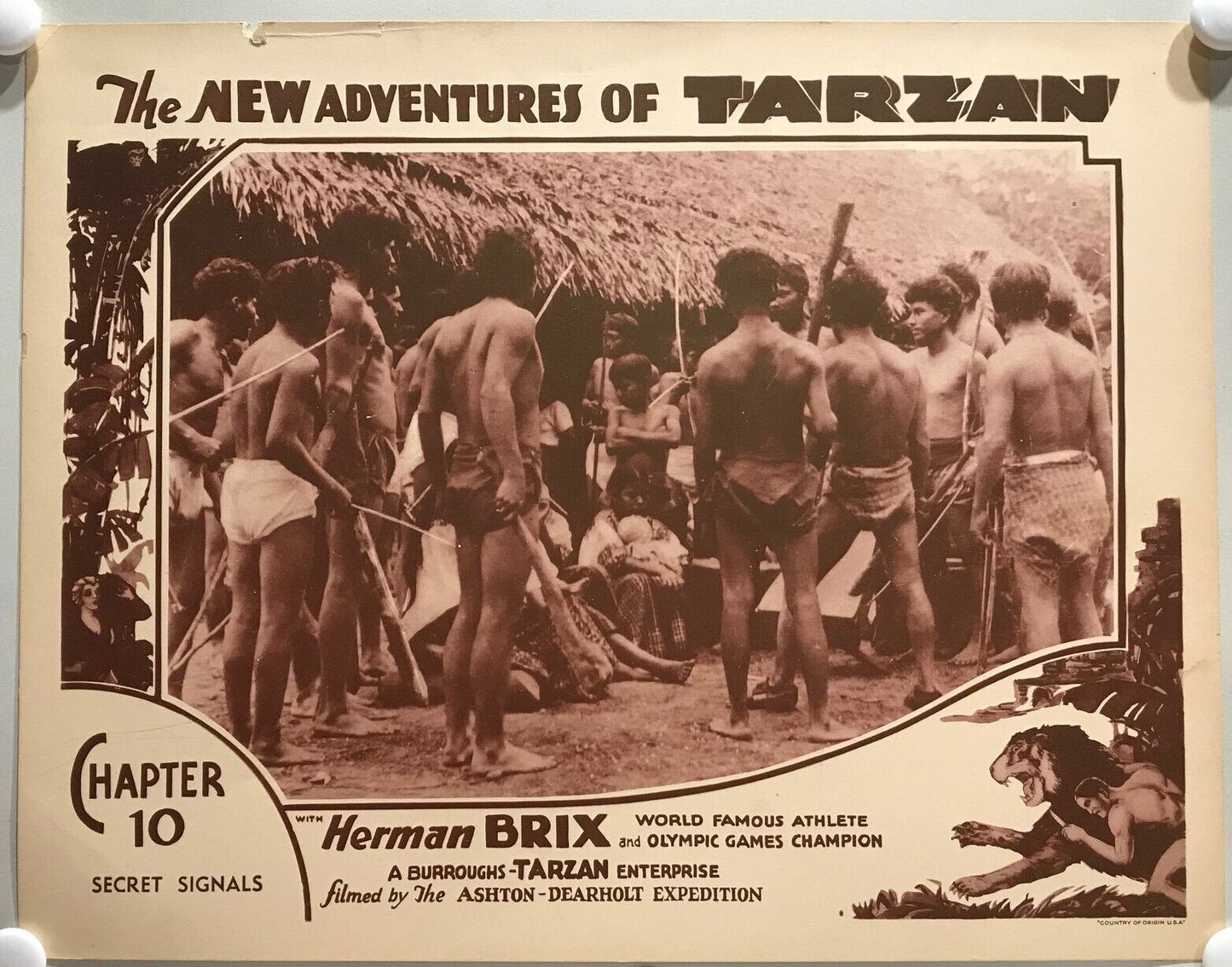 ORIGINAL SERIAL LOBBY CARD - THE NEW ADVENTURES OF TARZAN (a) - 1935 - Ch 10 ...