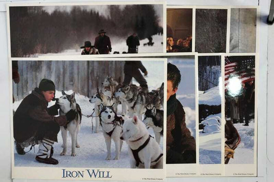 ORIGINAL LOBBY CARDS - IRON WILL - 1994 - Walt Disney - set of 8