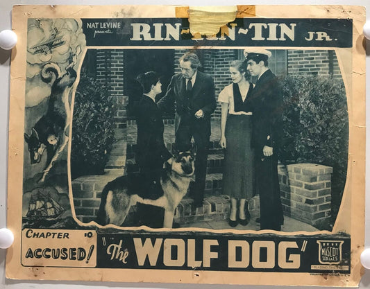 ORIGINAL SERIAL LOBBY CARD - THE WOLF DOG (b) - 1933 - Ch 10 "Accused!"