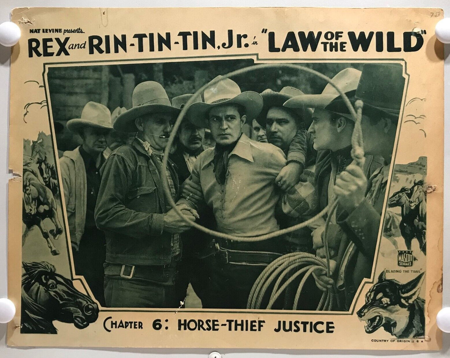 ORIGINAL SERIAL LOBBY CARD - LAW OF THE WILD (a) - 1934 - "Rex and Rin-Tin-Tin Jr"