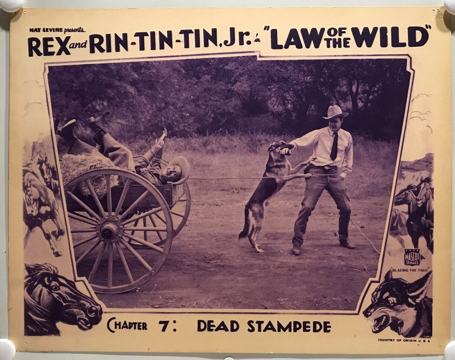 ORIGINAL SERIAL LOBBY CARD - LAW OF THE WILD (e) - 1934 - "Rex and Rin-Tin-Tin Jr"