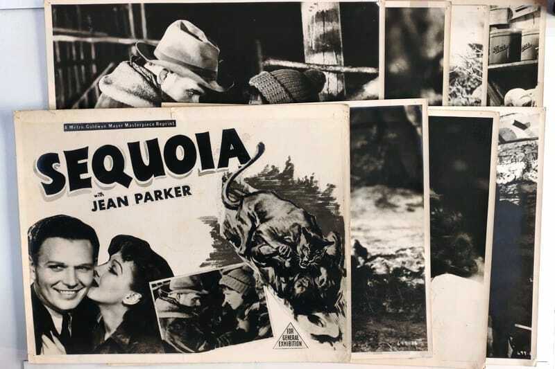 ORIGINAL LOBBY CARDS - SEQUOIA - 1935 reprint - set of 8