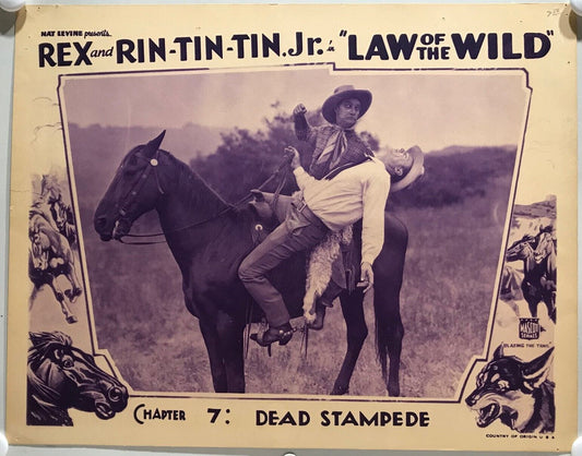 ORIGINAL SERIAL LOBBY CARD - LAW OF THE WILD (c) - 1934 - "Rex and Rin-Tin-Tin Jr"