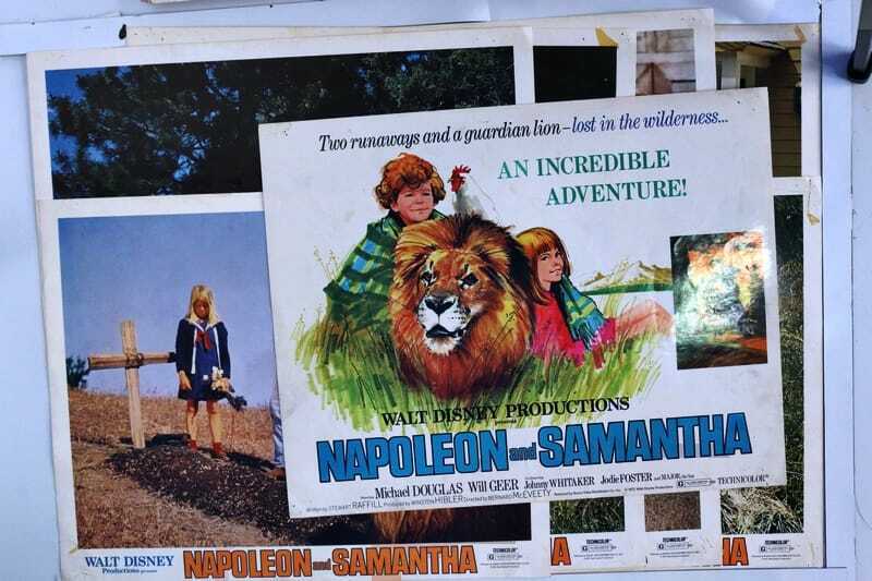 ORIGINAL LOBBY CARDS - NAPOLEON AND SAMANTHA - 1972 - Walt Disney - set of 8