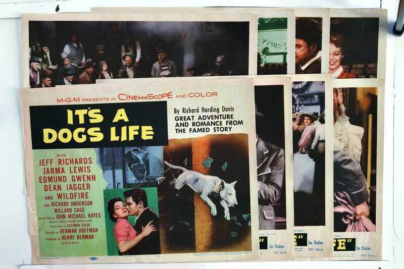 ORIGINAL LOBBY CARDS - IT'S A DOGS LIFE - 1955 - set of 8