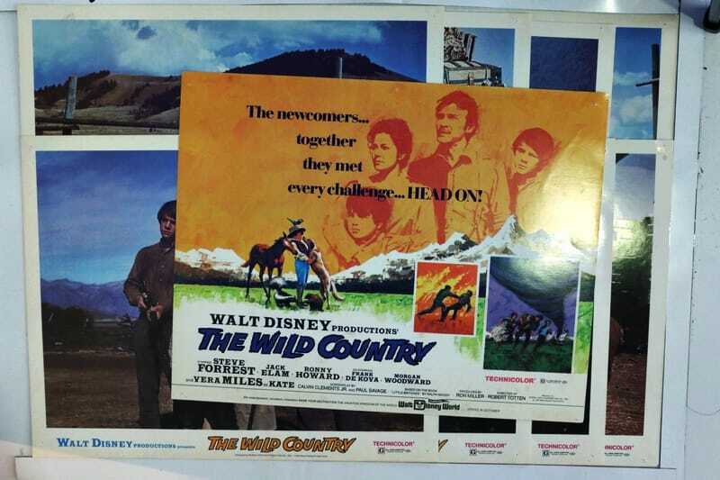 ORIGINAL LOBBY CARDS - THE WILD COUNTRY - 1970 - Walt Disney - set of 8