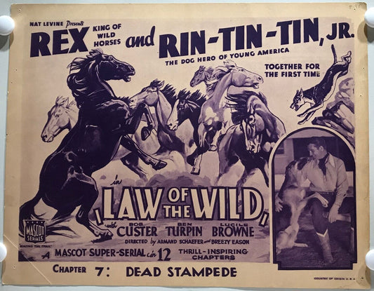 ORIGINAL SERIAL LOBBY CARD - LAW OF THE WILD - 1934 - "Rex and Rin-Tin-Tin Jr"