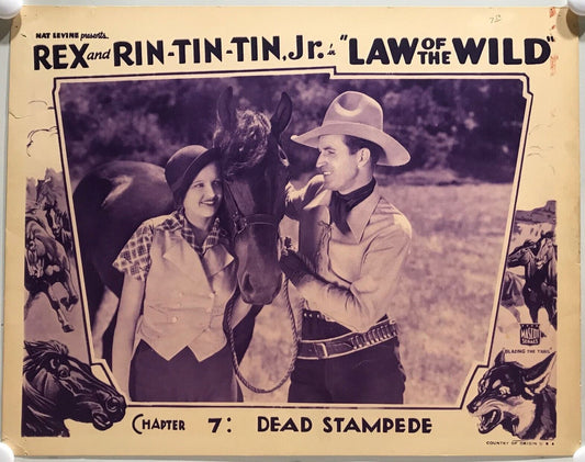 ORIGINAL SERIAL LOBBY CARD - LAW OF THE WILD (d) - 1934 - "Rex and Rin-Tin-Tin Jr"