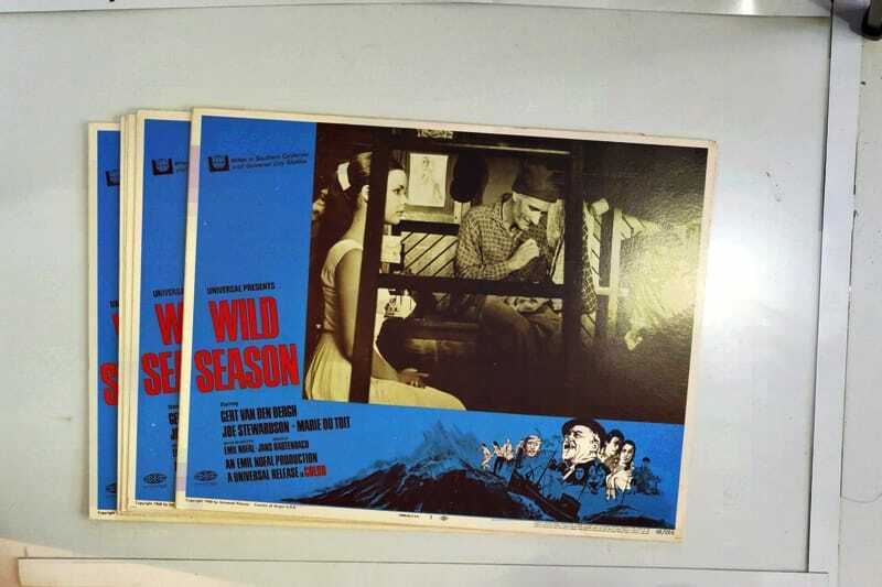 ORIGINAL LOBBY CARDS - WILD SEASON - 1968 - set of 8