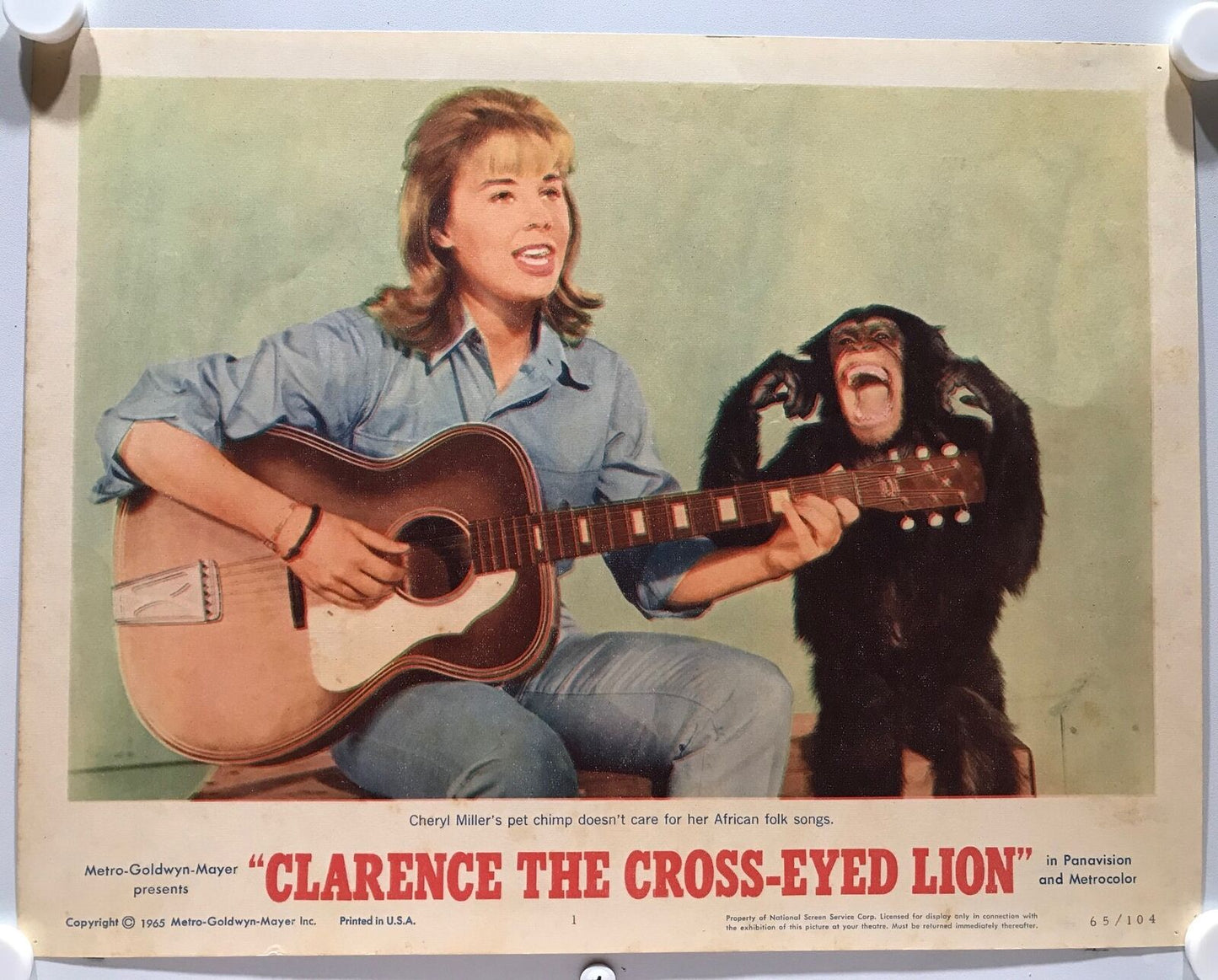 ORIGINAL LOBBY CARDS - CLARENCE THE CROSS-EYED LION - 1965 - set of 8