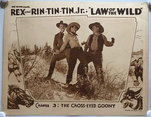 ORIGINAL SERIAL LOBBY CARD - LAW OF THE WILD (d) - 1934 - "Rex and Rin-Tin-Tin Jr"