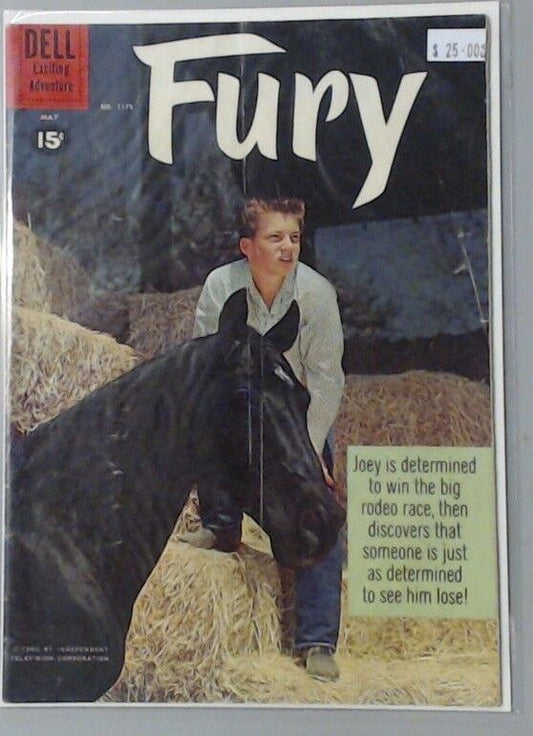 FURY COMIC BOOK NO. 1172 HORSE FARM DELL EXCITING ADVENTURE