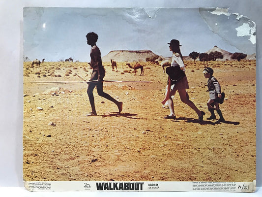 ORIGINAL LOBBY CARD - WALKABOUT (e) - 1971 - key card - Australian