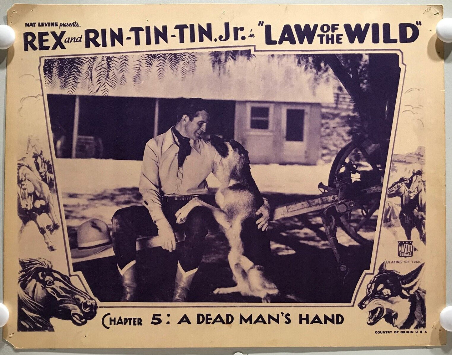 ORIGINAL SERIAL LOBBY CARD - LAW OF THE WILD (a) - 1934 - "Rex and Rin-Tin-Tin Jr"