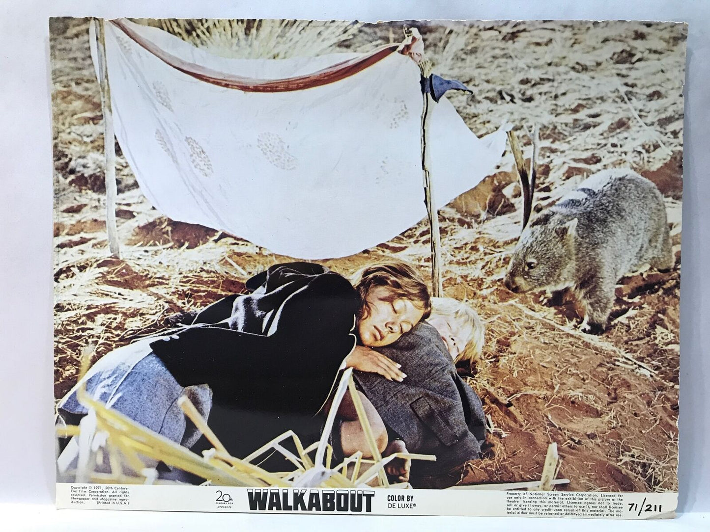 ORIGINAL LOBBY CARD - WALKABOUT (l) - 1971 - key card - Australian