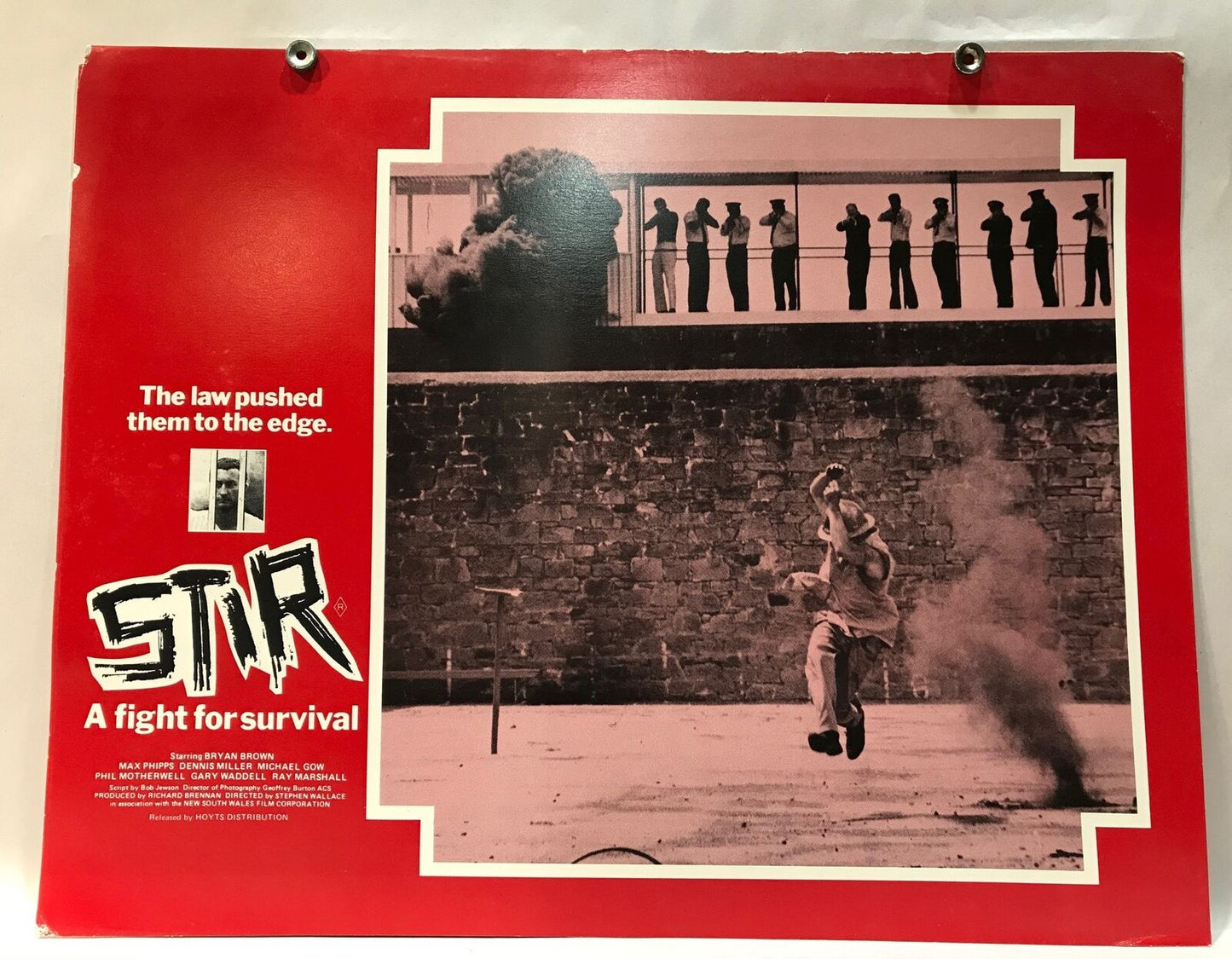 ORIGINAL LOBBY CARD - STIR (e) - 1980 - original Lobby Card -  Australian