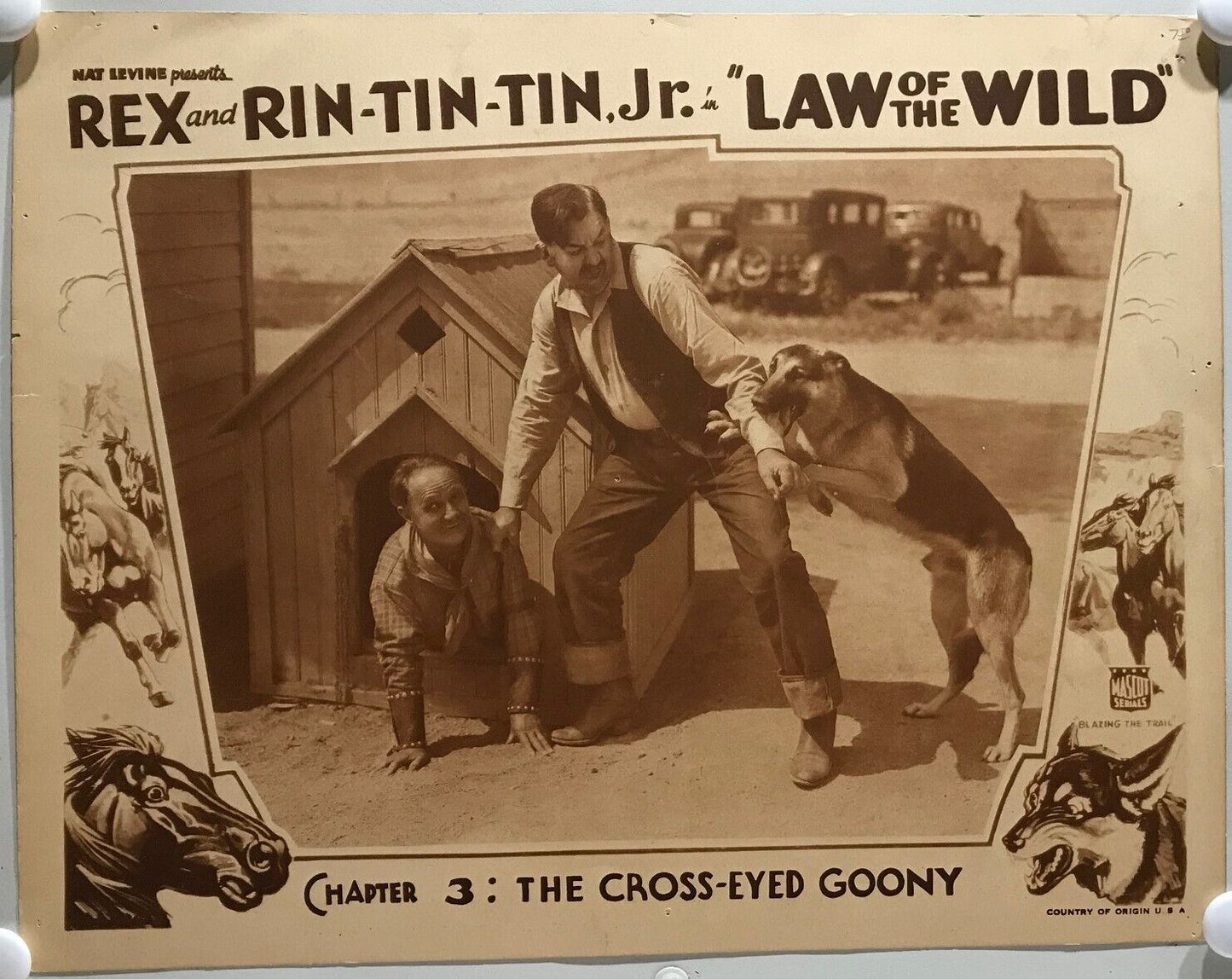 ORIGINAL SERIAL LOBBY CARD - LAW OF THE WILD (a) - 1934 - "Rex and Rin-Tin-Tin Jr"