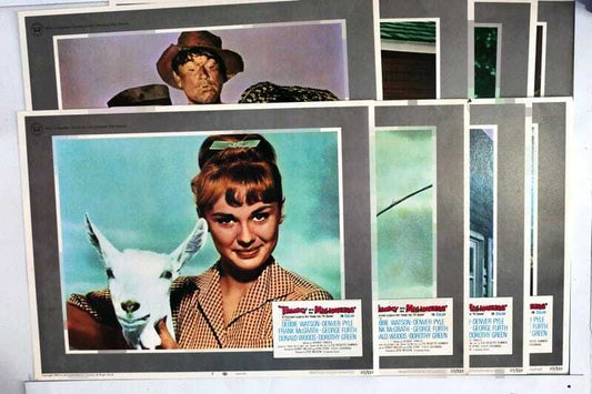 ORIGINAL LOBBY CARDS - TAMMY AND THE MILLIONAIRE - 1967 - set of 8