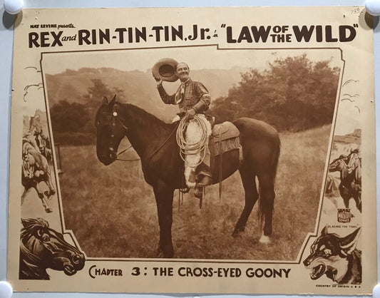 ORIGINAL SERIAL LOBBY CARD - LAW OF THE WILD (c) - 1934 - "Rex and Rin-Tin-Tin Jr"