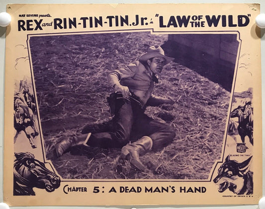 ORIGINAL SERIAL LOBBY CARD - LAW OF THE WILD (b) - 1934 - "Rex and Rin-Tin-Tin Jr"