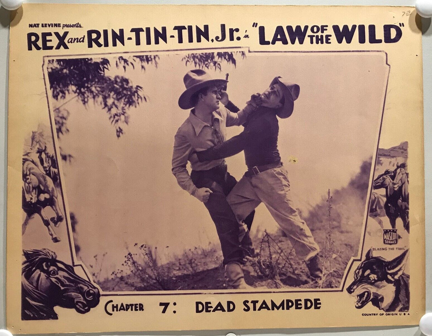 ORIGINAL SERIAL LOBBY CARD - LAW OF THE WILD (a) - 1934 - "Rex and Rin-Tin-Tin Jr"