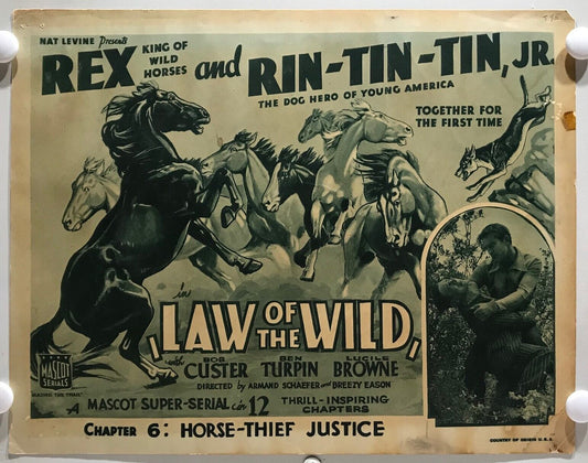 ORIGINAL SERIAL LOBBY CARD - LAW OF THE WILD - 1934 - "Rex and Rin-Tin-Tin Jr"