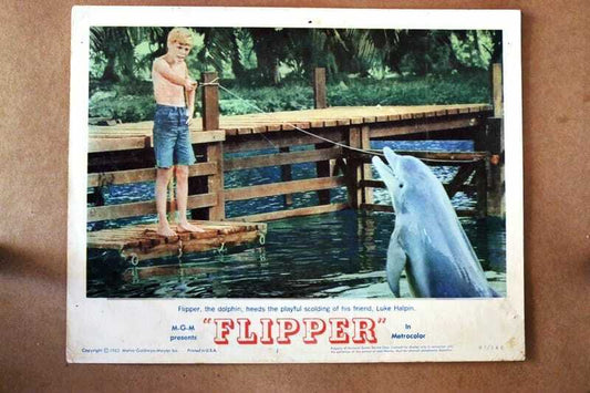 ORIGINAL LOBBY CARD - FLIPPER - 1963 - key card #1