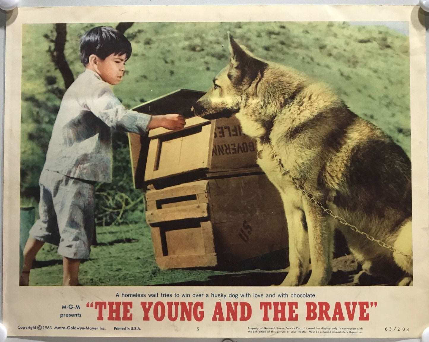 ORIGINAL LOBBY CARDS - THE YOUNG AND THE BRAVE - 1963 - set of 8